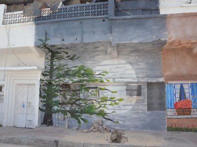 التوعية البيئية والصحية